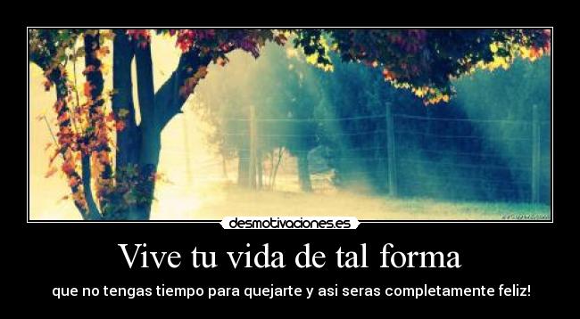 carteles vida lkjhgfds desmotivaciones