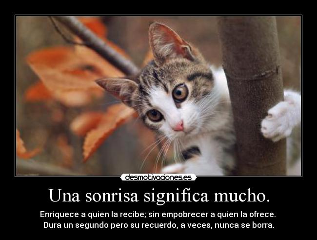 Una sonrisa significa mucho. - Enriquece a quien la recibe; sin empobrecer a quien la ofrece.
Dura un segundo pero su recuerdo, a veces, nunca se borra.