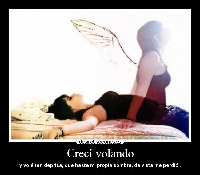 carteles creci volando desmotivaciones