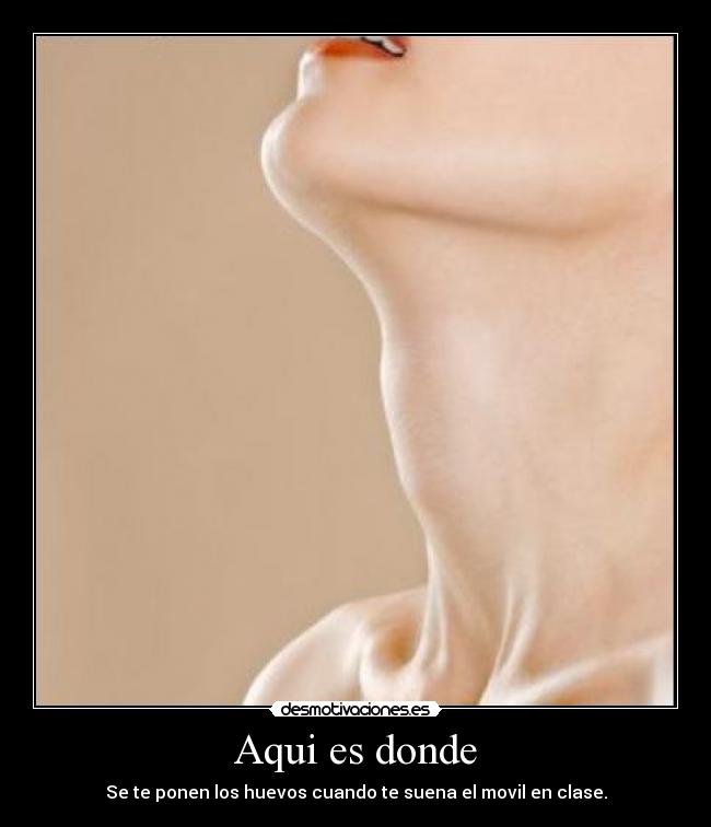 Aqui es donde - 