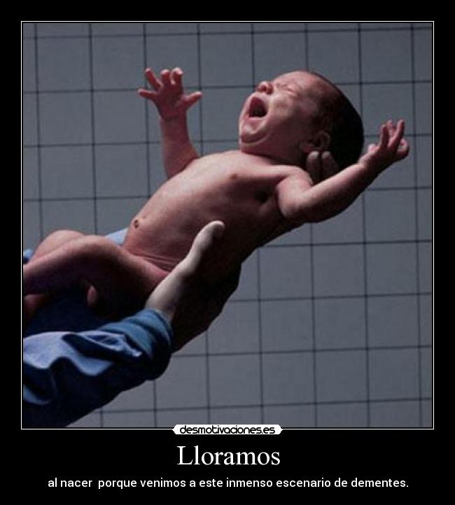 Lloramos - 