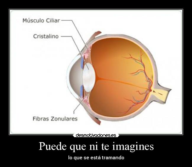 Puede que ni te imagines - lo que se está tramando