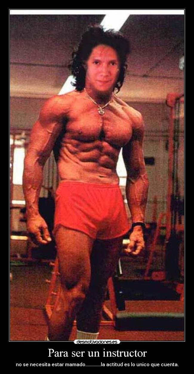 carteles palomin0 desmotivaciones