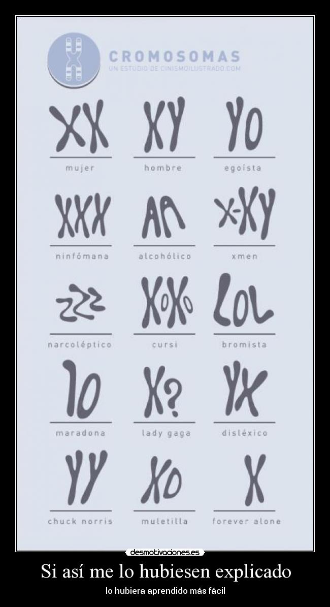 Si así me lo hubiesen explicado -