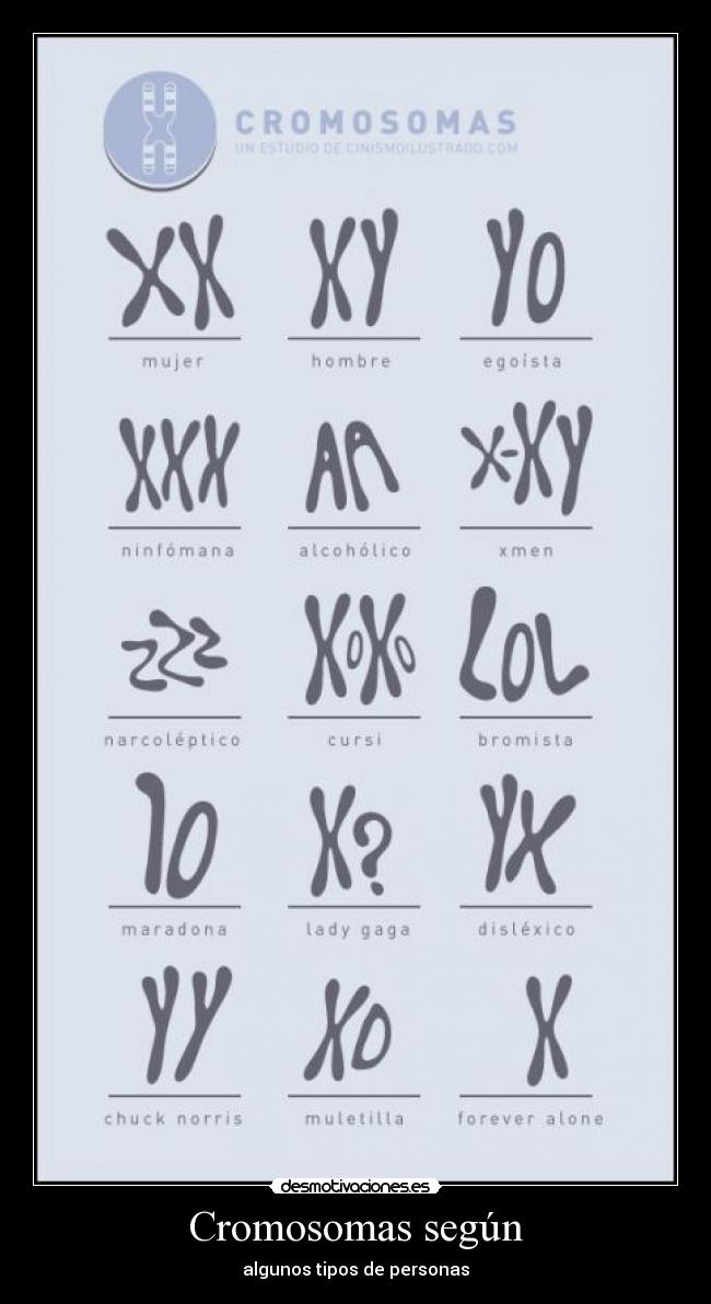 Cromosomas según - algunos tipos de personas