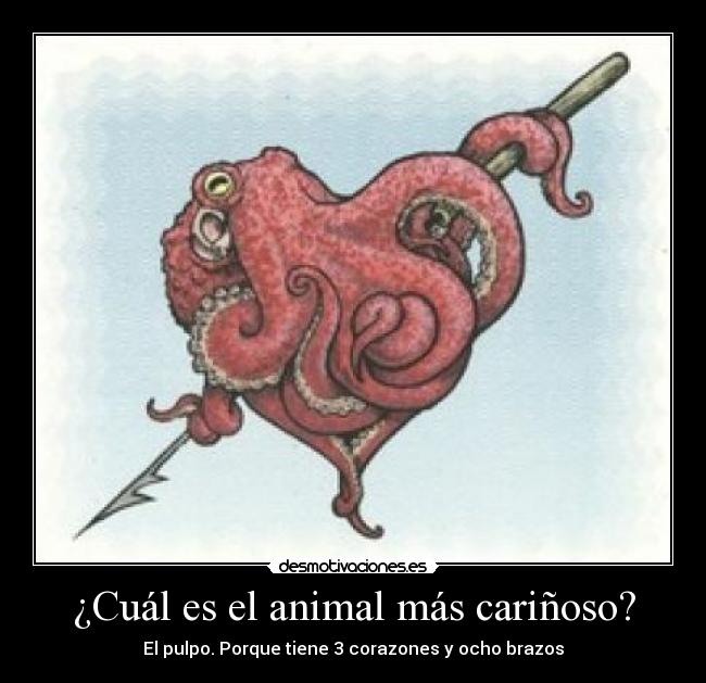 ¿Cuál es el animal más cariñoso? - 