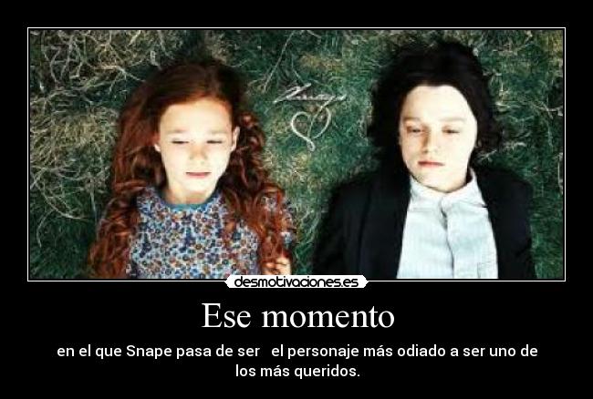 carteles harry potter snap lily desmotivaciones