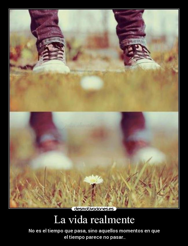 La vida realmente - No es el tiempo que pasa, sino aquellos momentos en que
el tiempo parece no pasar..