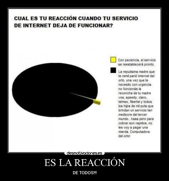 ES LA REACCIÓN - DE TODOS!!!