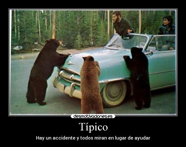 carteles vino muchoo este humete espero pasa nunca mas cuando regrese ruedo desmotivaciones