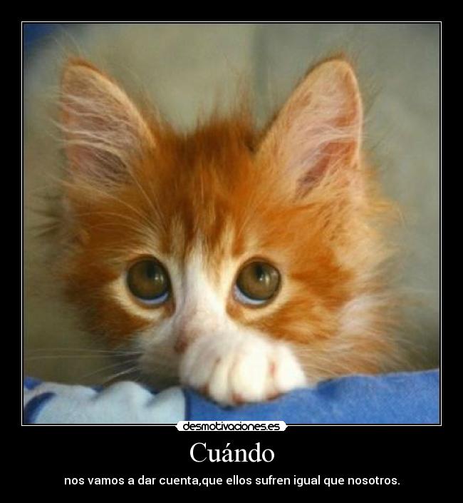 Cuándo - nos vamos a dar cuenta,que ellos sufren igual que nosotros.