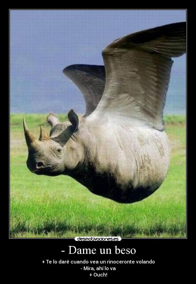 carteles rino volador desmotivaciones