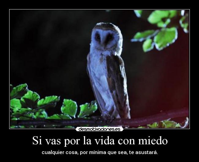 Si vas por la vida con miedo - 