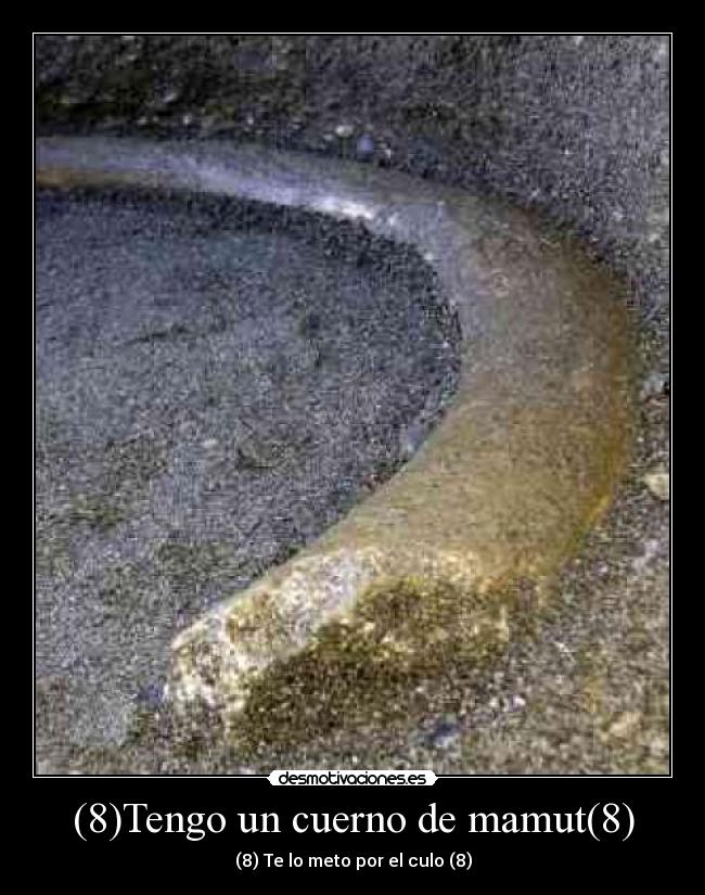 carteles boloman desmotivaciones