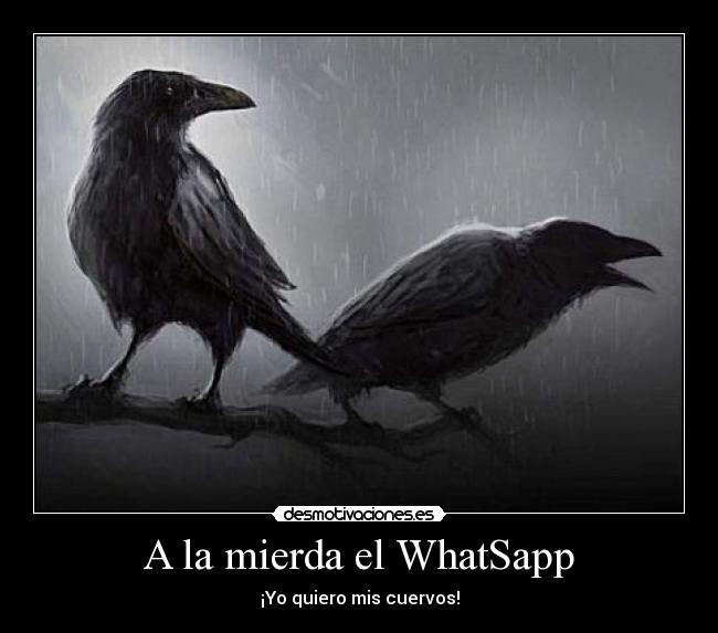 A la mierda el WhatSapp - ¡Yo quiero mis cuervos!