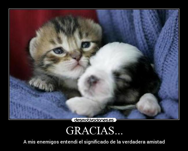 GRACIAS... -