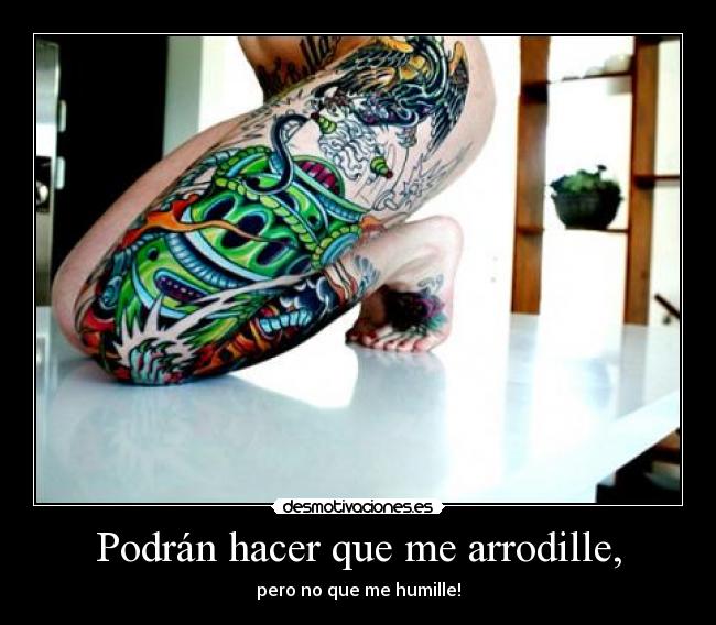 carteles rematas faena sabes mejor que mejor remaster las flores primavera lalala desmotivaciones