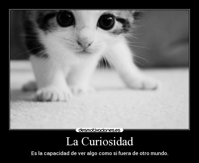 La Curiosidad - 