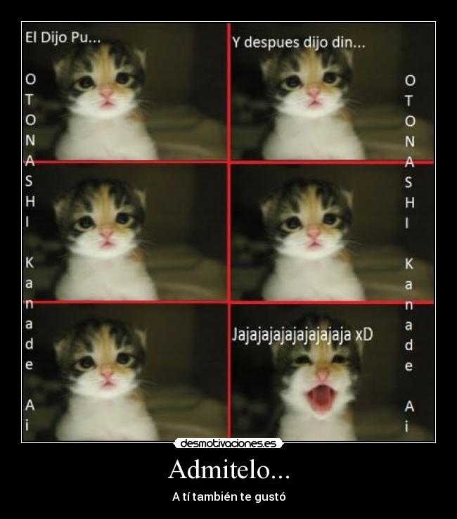 carteles gatito desmotivaciones