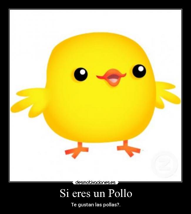 Si eres un Pollo -