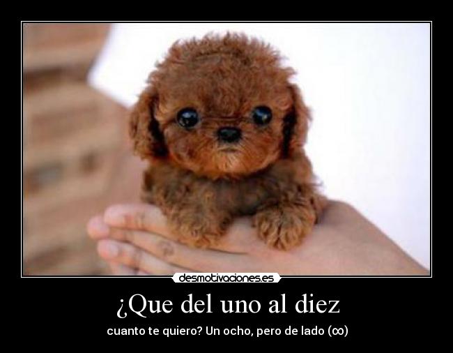 ¿Que del uno al diez - cuanto te quiero? Un ocho, pero de lado (∞)