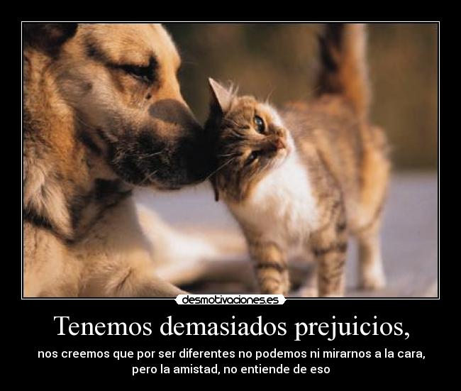 Tenemos demasiados prejuicios, - nos creemos que por ser diferentes no podemos ni mirarnos a la cara,
pero la amistad, no entiende de eso
