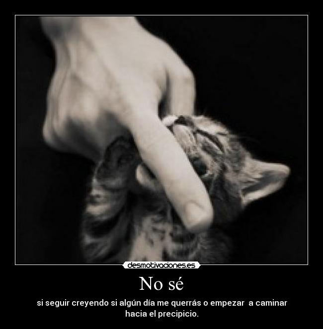 No sé - si seguir creyendo si algún día me querrás o empezar a caminar hacia el precipicio.