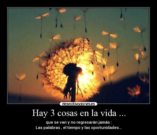 Hay 3 cosas en la vida ... -