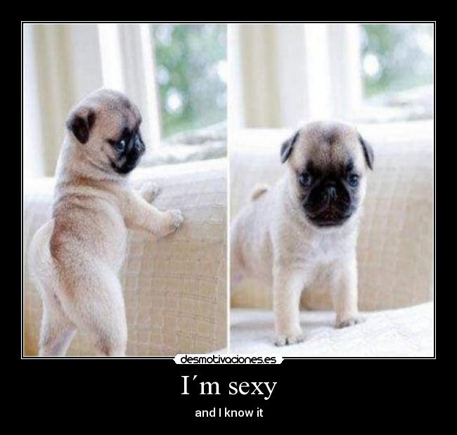I´m sexy - and I know it