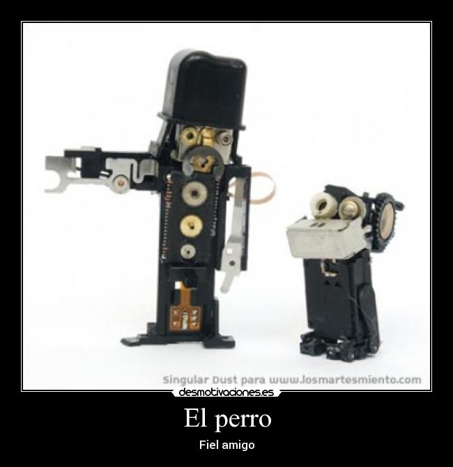 carteles perro desmotivaciones