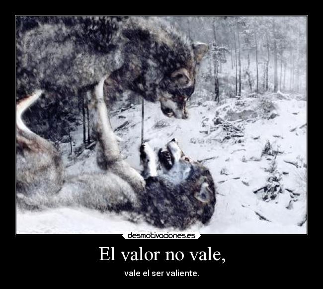 El valor no vale, - vale el ser valiente.