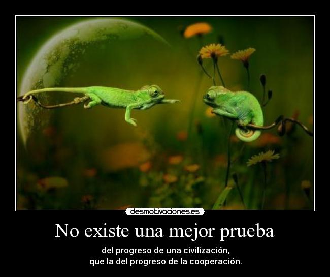 No existe una mejor prueba - 
