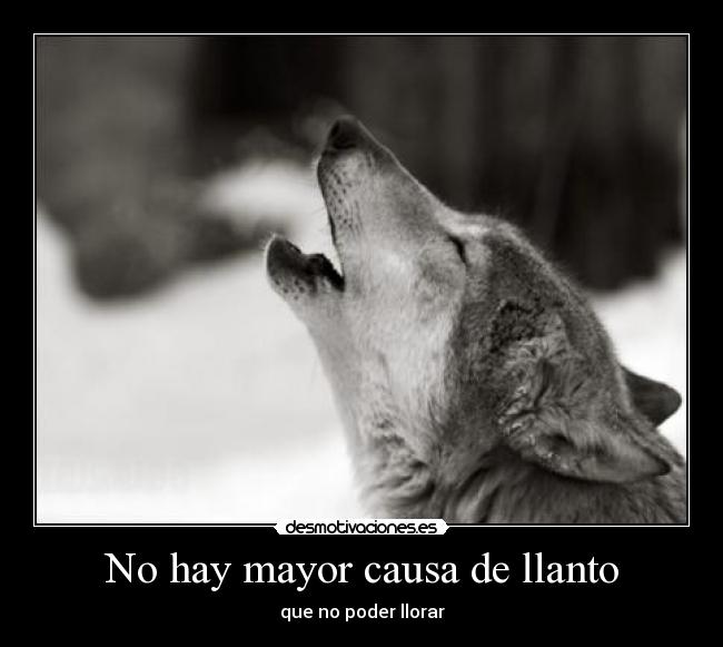 No hay mayor causa de llanto - 