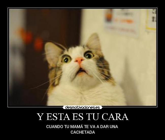 Y ESTA ES TU CARA - CUANDO TU MAMÁ TE VA A DAR UNA 
CACHETADA