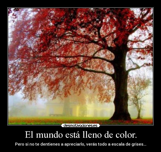 El mundo está lleno de color. -