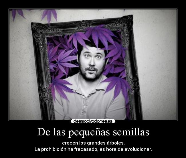 carteles thanatoslothar cannabis desmotivaciones