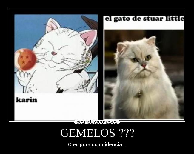 GEMELOS ??? - 