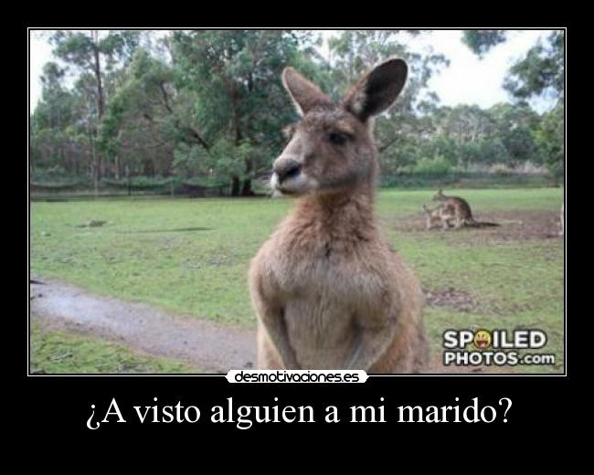 ¿A visto alguien a mi marido? -