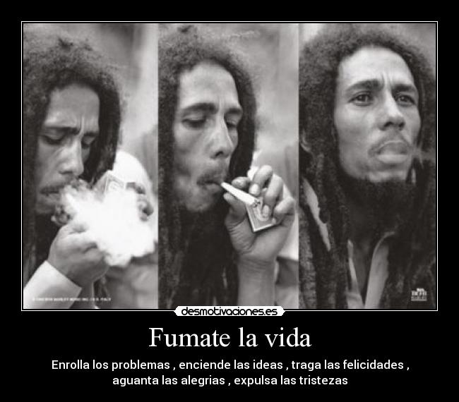 Fumate La Vida Desmotivaciones