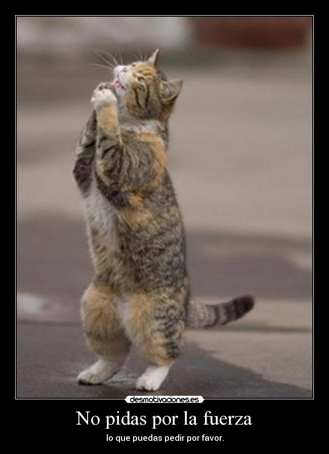 No pidas por la fuerza - lo que puedas pedir por favor.