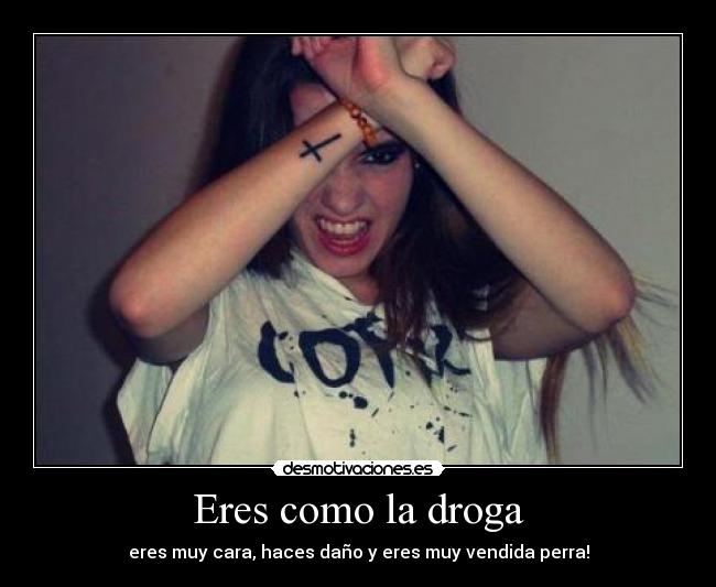 Eres como la droga - eres muy cara, haces daño y eres muy vendida perra!