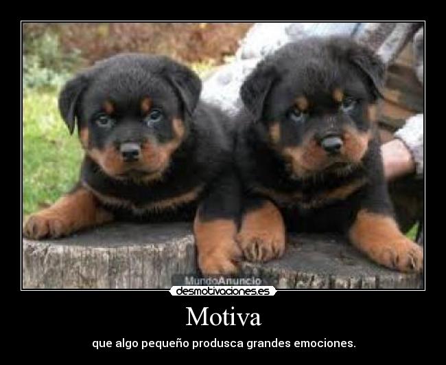 Motiva - que algo pequeño produsca grandes emociones.