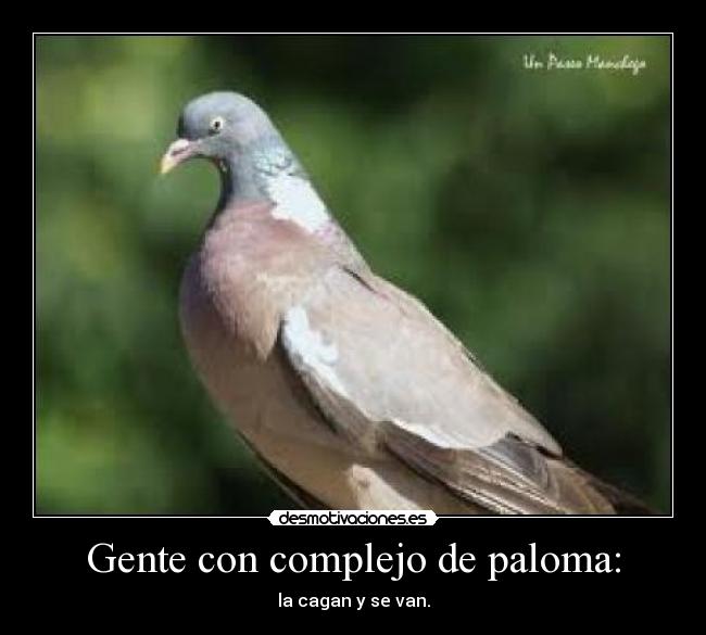 Gente con complejo de paloma: - 