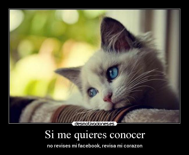 Si me quieres conocer - no revises mi facebook, revisa mi corazon