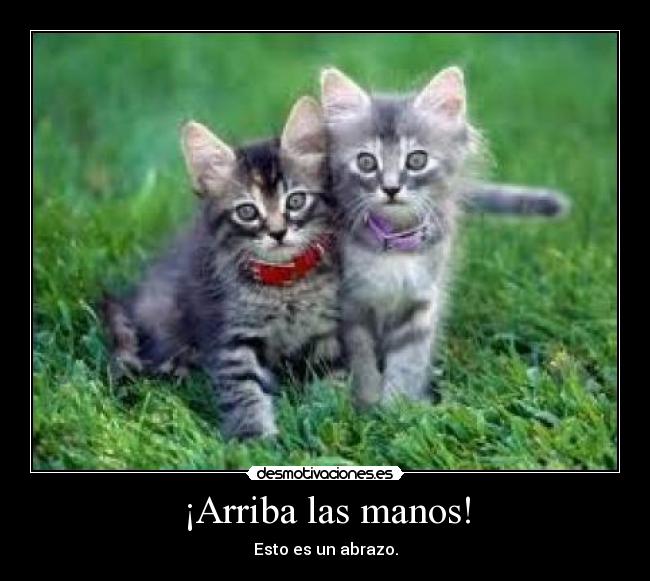 ¡Arriba las manos! - Esto es un abrazo.