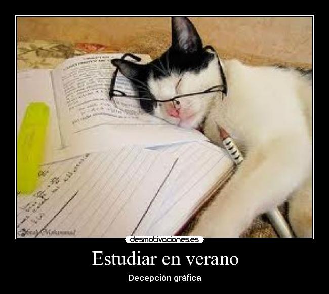 Estudiar en verano -