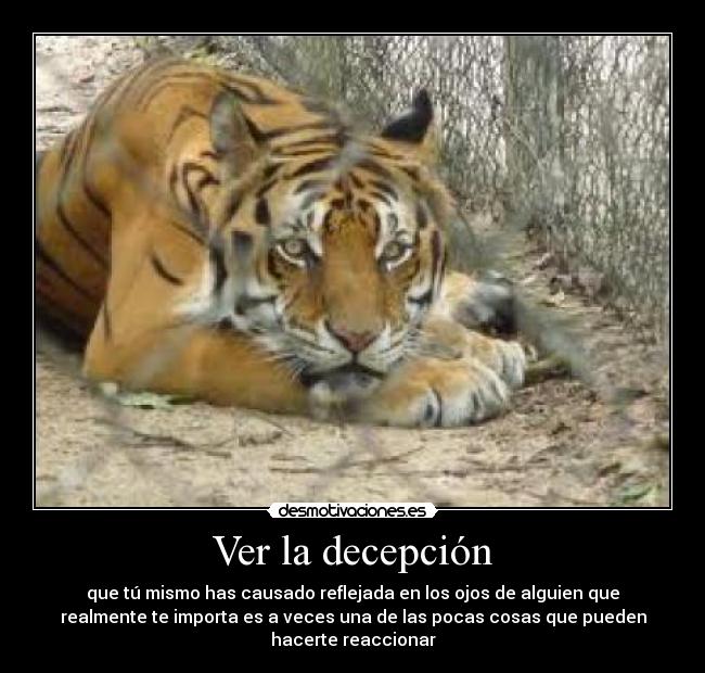 Ver la decepción -