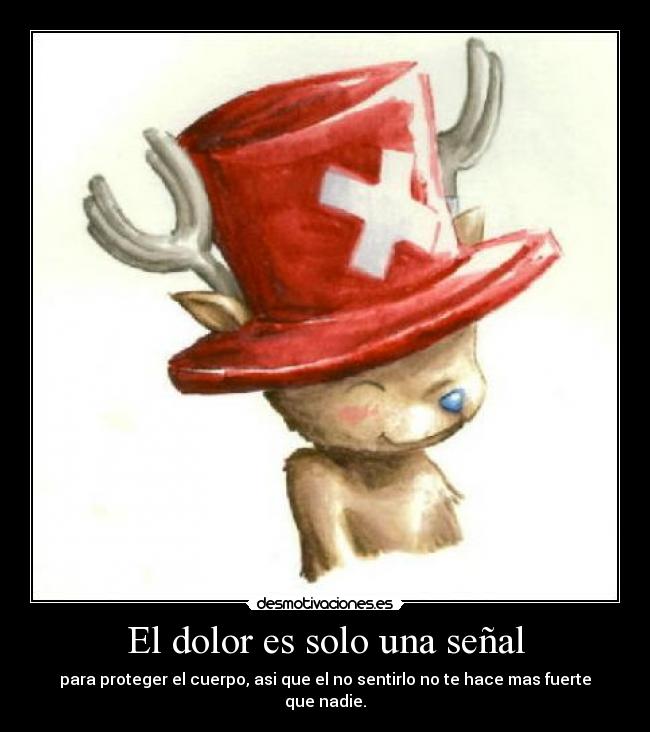 carteles dolor one piece tony tony chopper desmotivaciones