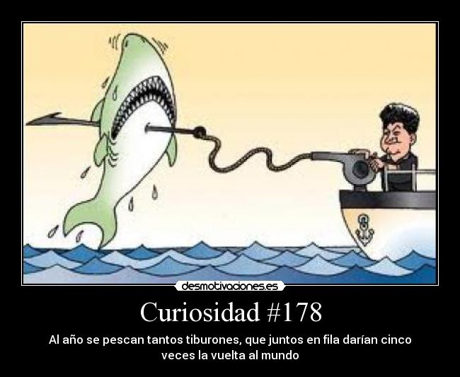 Curiosidad #178 - 