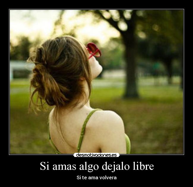 Si amas algo dejalo libre - Si te ama volvera